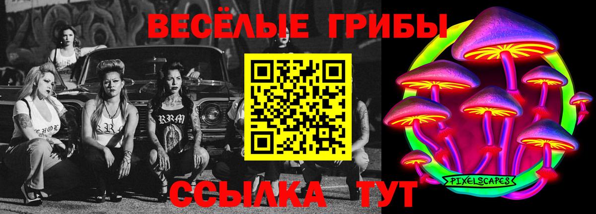 Псилоцибиновые грибы прущие грибы Кудымкар